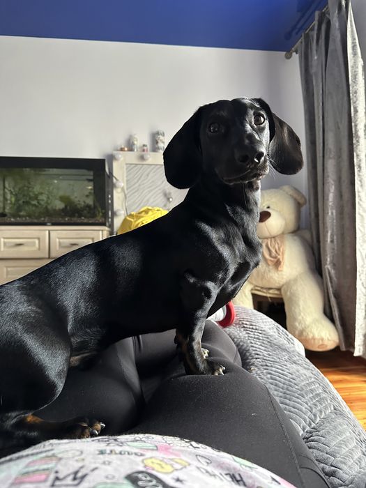 Вʼязка такси