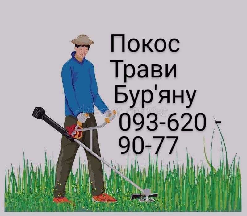 Безкоштовно оренда земельної ділянки, покос трави.