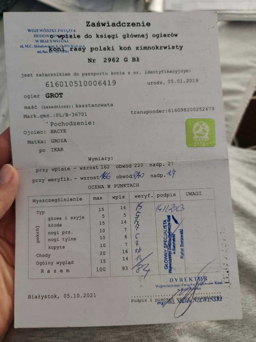 Ogier Sokólski Grot
