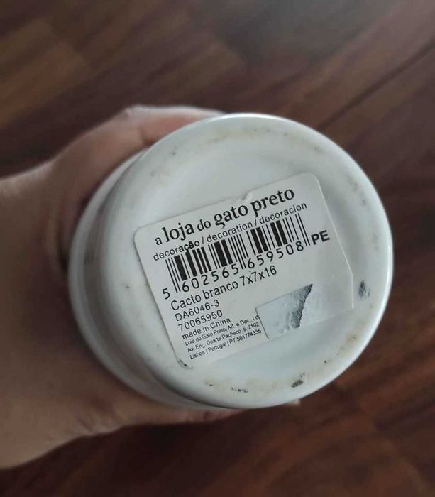 Cacto decorativo loja Gato Preto