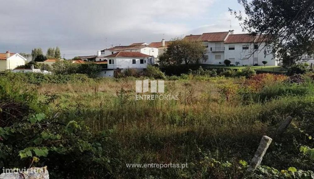 Venda de terreno agricola, Chafé, Viana do Castelo — Chafé, Viana do Castelo