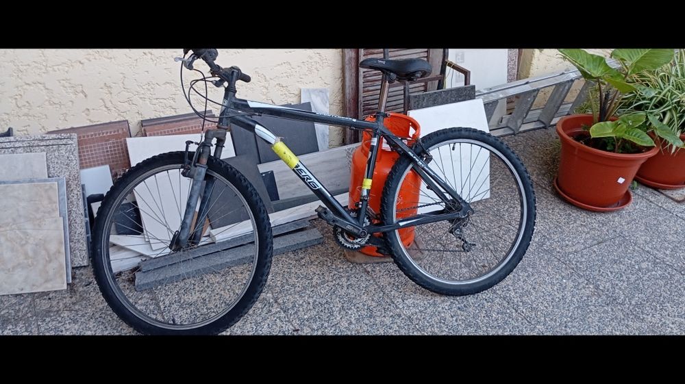 Bicicleta Berg Roda 26