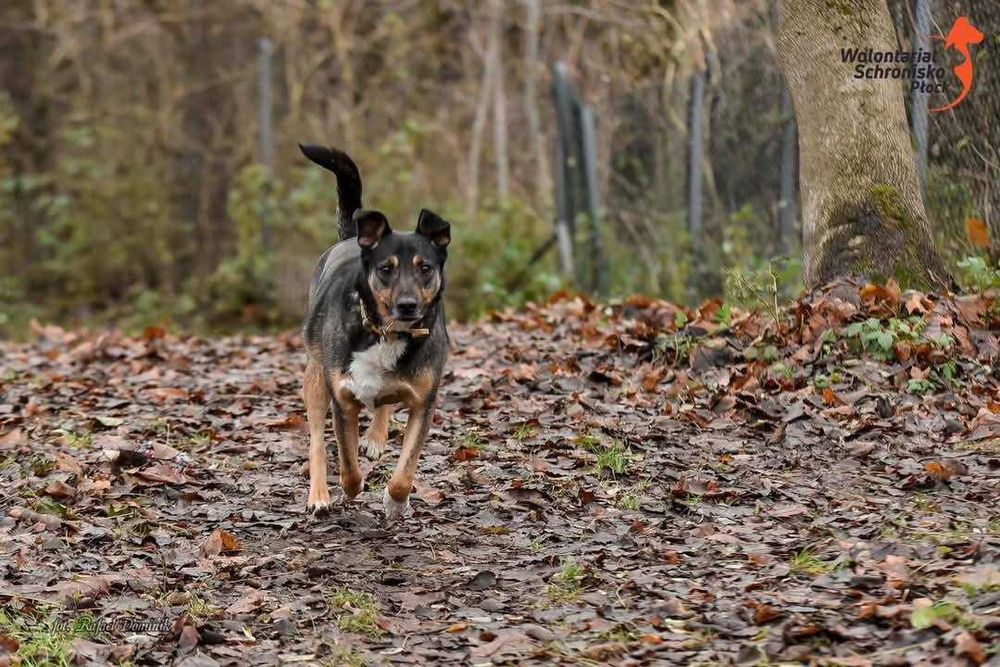 Gary szuka kochającego domu