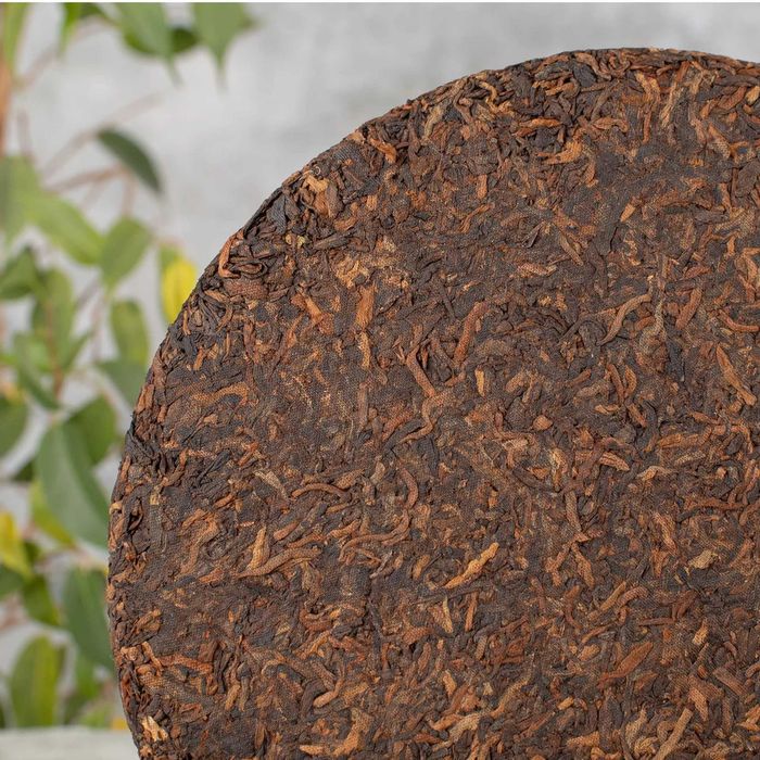 Puer Shu Chuan Shi Mao