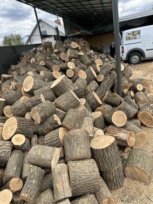 Купити дрова твердих порід:дуб,ясен,акація.Продаж,доставка.ЗІЛ,ГАЗ,ДАФ