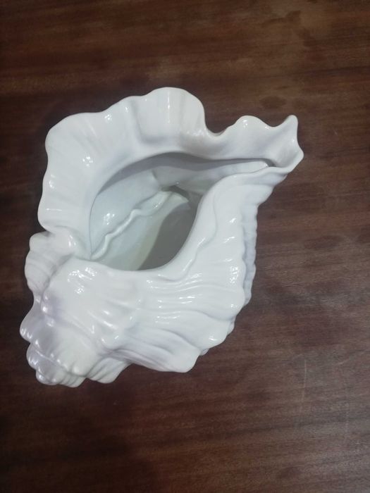 Conch-shaped Jug425285995988275203