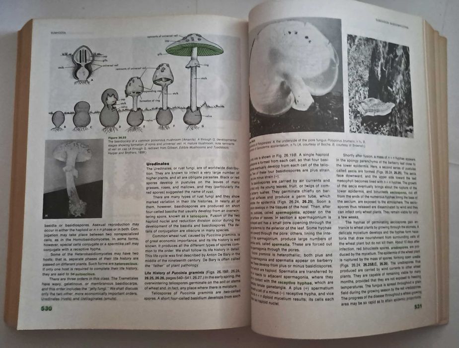 Botany - An Introduction To Plant Biology