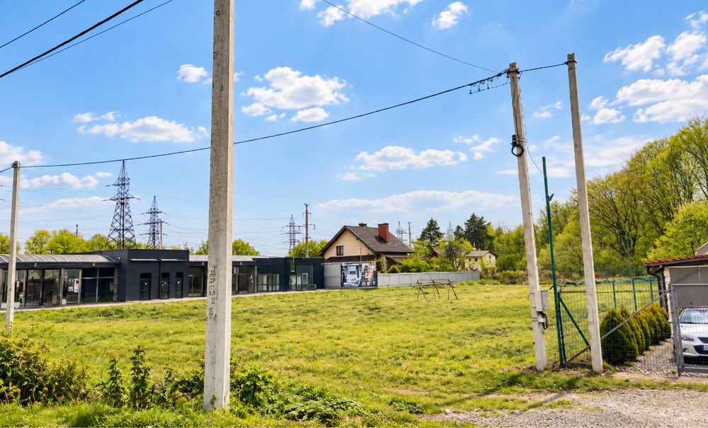 Комерційна діляка рясне руська