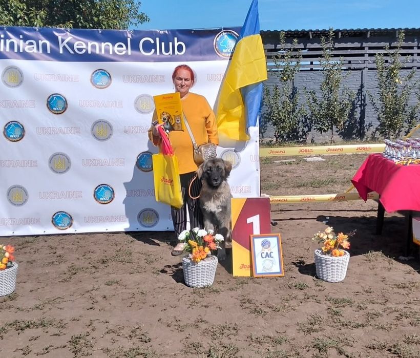 Кавказька вівчарка с документами