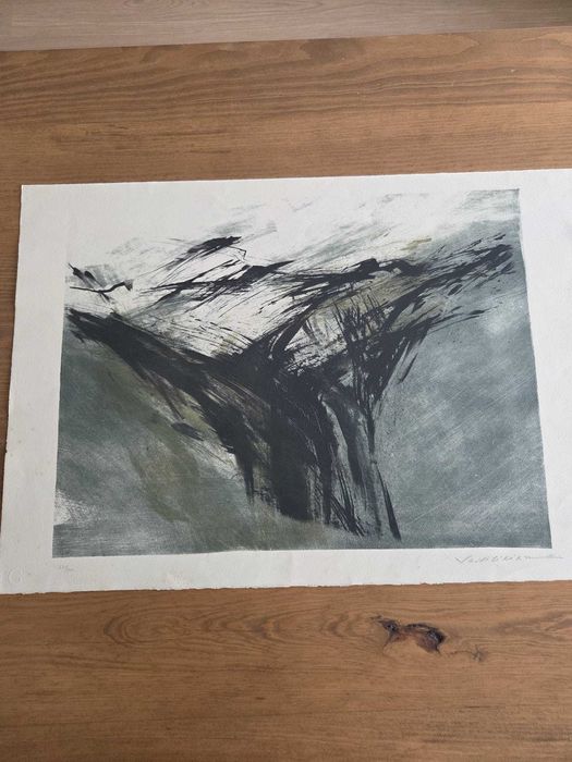 Vasilichian, Serigrafia assinada e numerada