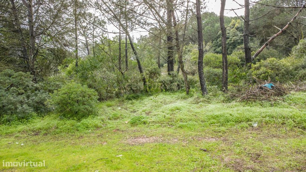 Quinta Das Chaves – Vila Nova De Caparica | Oportunidade De Investimen