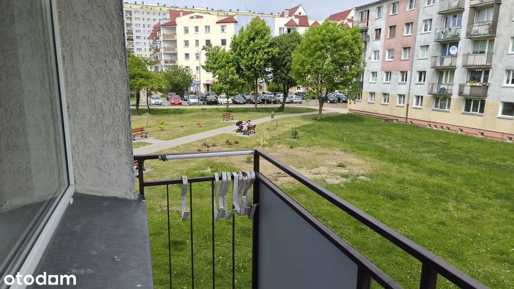 Mieszkanie 53m 3pok 1pietro. - Po generalnym remoncie, nowe AGD - Widok 4