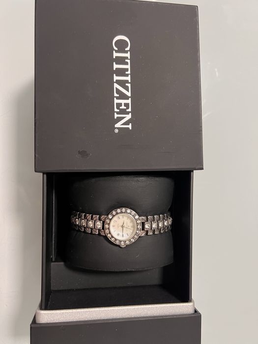 Citizen  Crictian  Lay