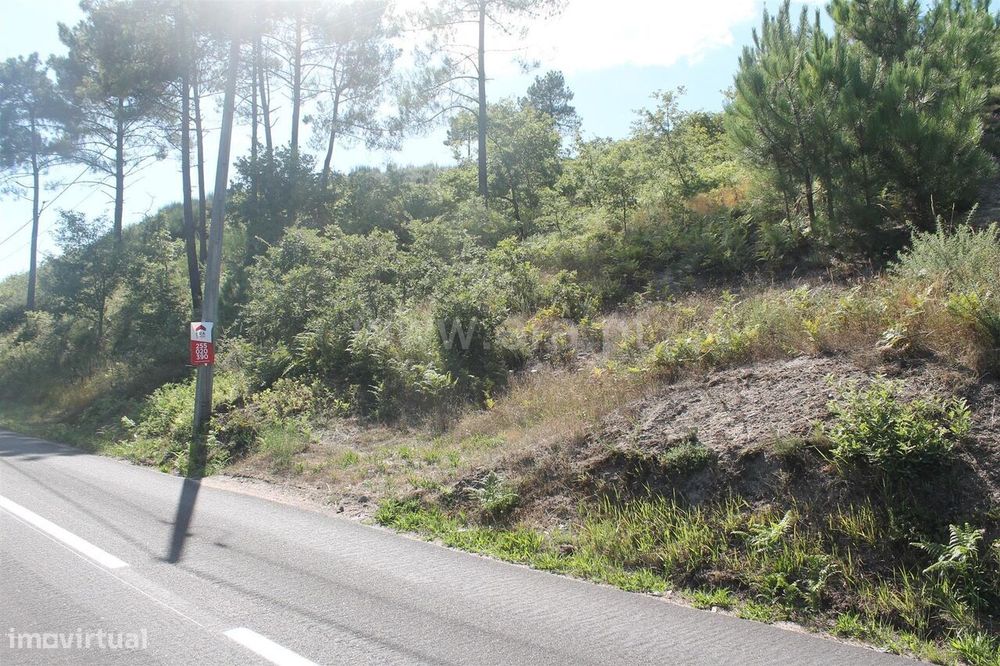 Terreno / Baião, Gove