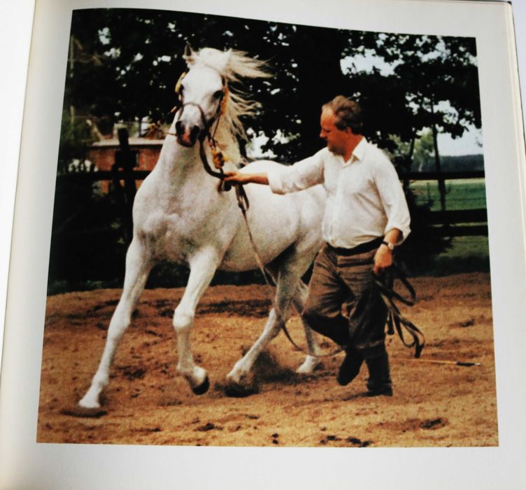 ARTE EQUESTRE Kinder des Windes (Filhos do Vento), em alemão