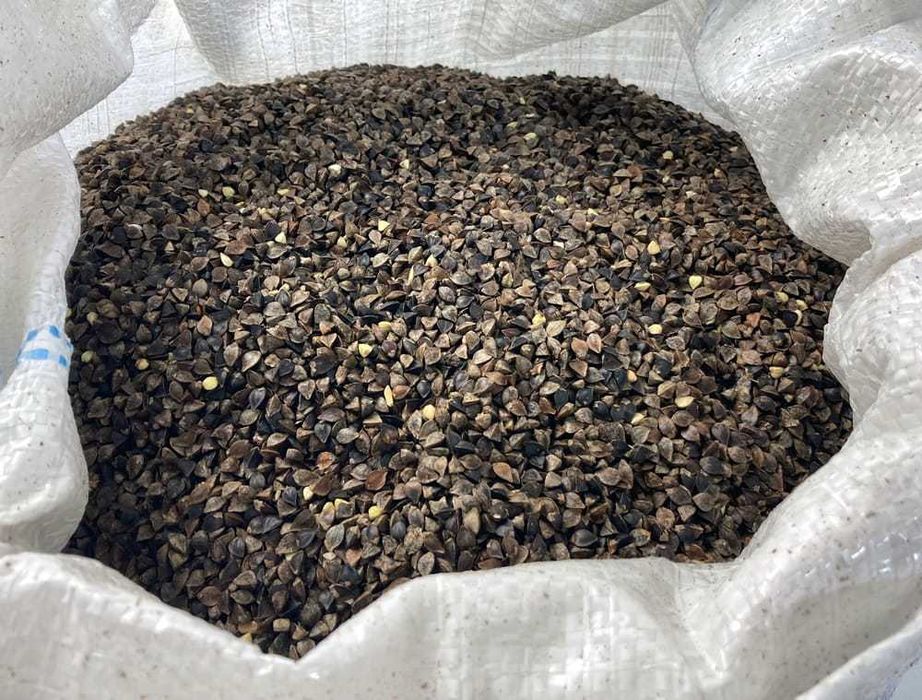 Gryka Siewna Miododajna Poplon EKO Nawóz K+P 20 KG