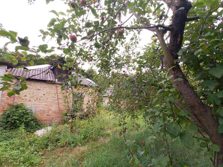 Продається будинок з землею Пухівка