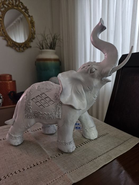 Elefante em bom estado!