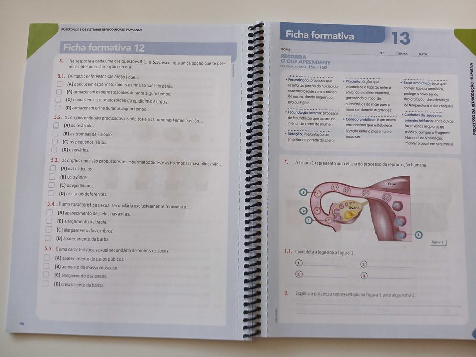 Caderno de Atividades Ciências 6º Ano