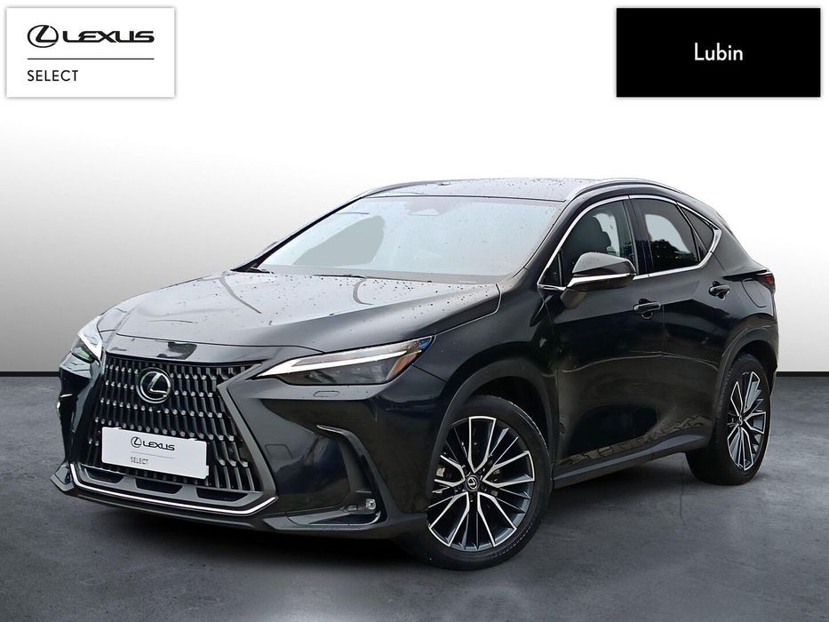 Lexus NX 450h+ Omotenashi AWD
