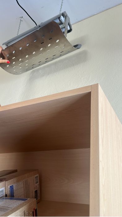 Capetador de insectos