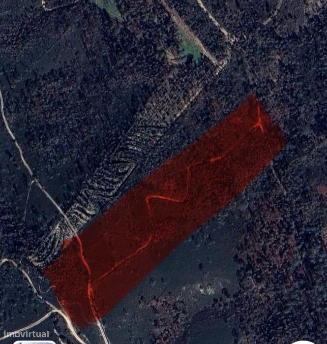 Terreno Em Romariz - Pinhal De Exploração