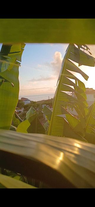 Negocio pronto a funcionar - Venda em RIBAMAR/ERICEIRA |  Food Truck + Equipamento + Espaço