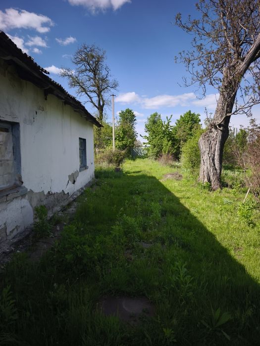 Продаж земельної ділянки Озерна