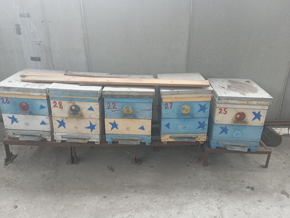 Улья корпусные для пчел