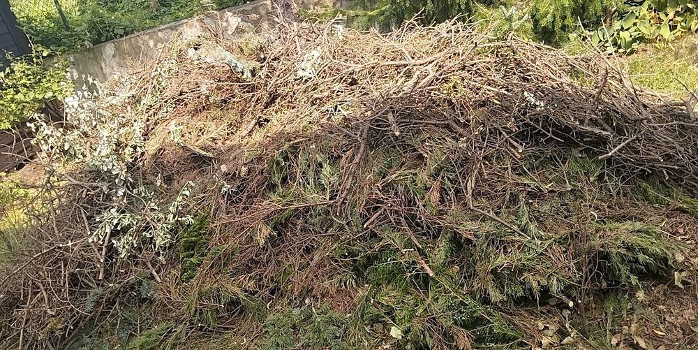 Oddam suche gałęzie na opał