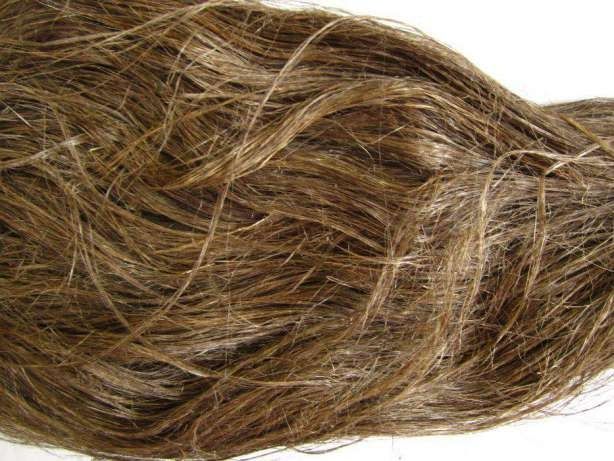 Длинное и короткое волокно льна. Длинное волокно льна. Льняные нитки. Лен с длинным волокном 8 букв. Льняная пряжа.