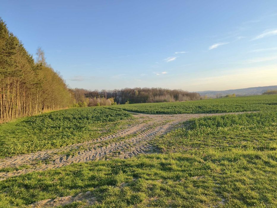 Atrakcyjne działki budowlane w Lubaniu - Widok 2