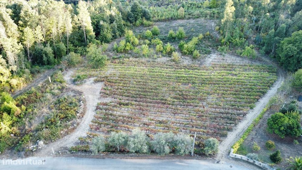 Terreno  para venda