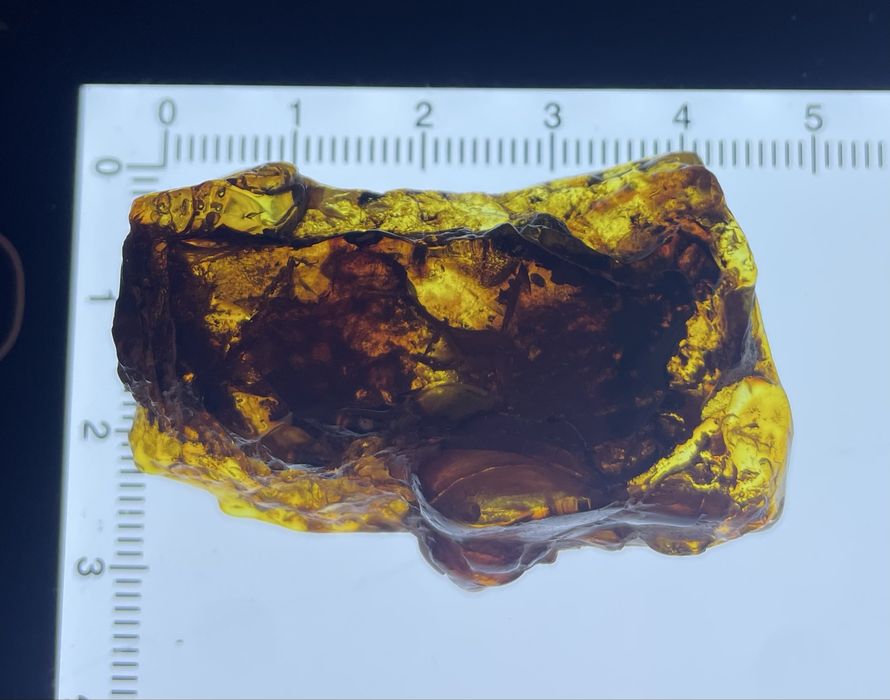 Nowa bryłka naturalnego bursztynu bałtyckiego 13 gram