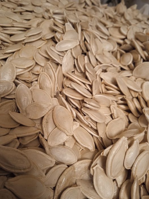 Тыквенные семечки