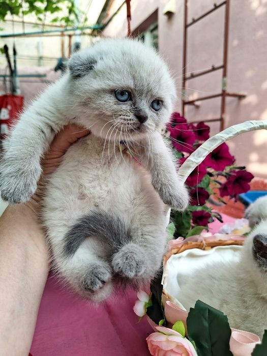 Супер детки, бронь!