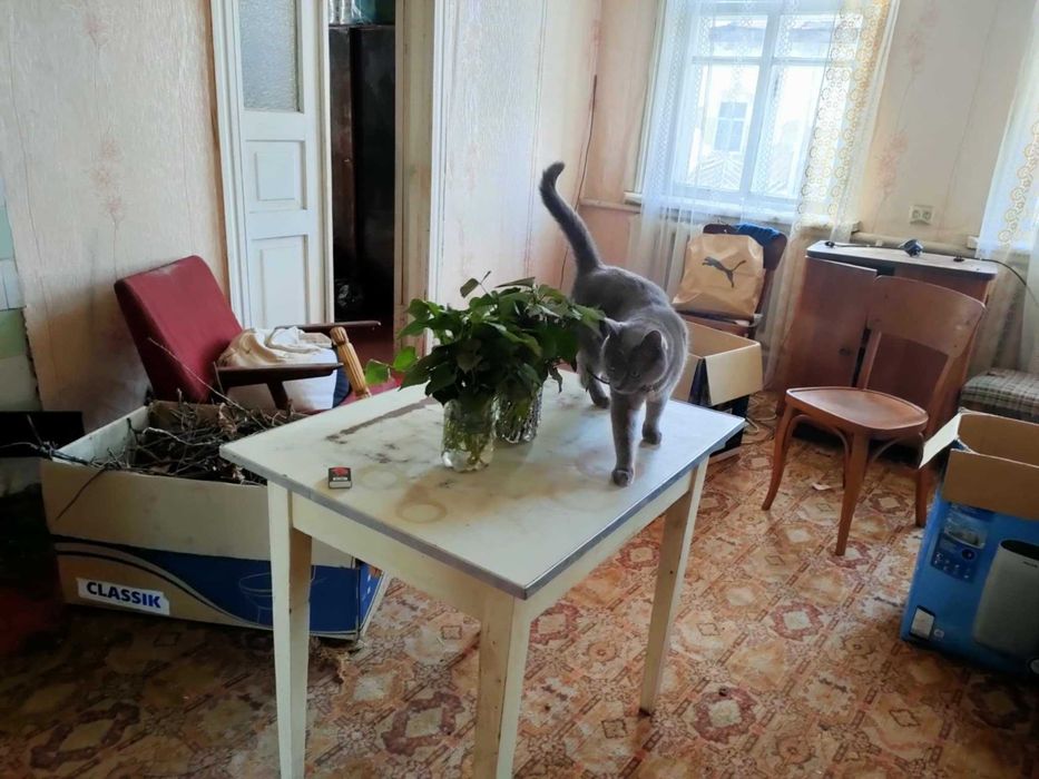 Продам 4 кімнатний будинок у місті Борзна Чернігівської області