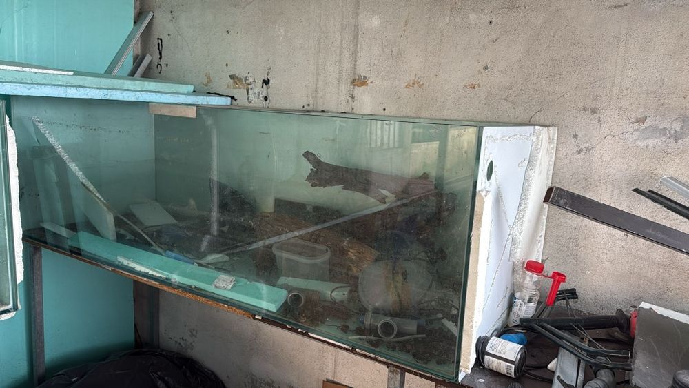 Aquários  para peixes ornamentais