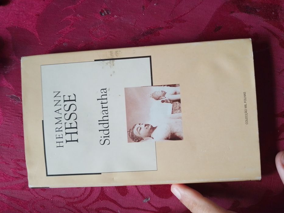 Miúdos contra o plástico-Martin dorey-1e-N.Letras7E-Cenouras3EDesde2E.