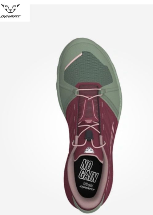 Dynafit Women's Alpine Pro 2 Shoes