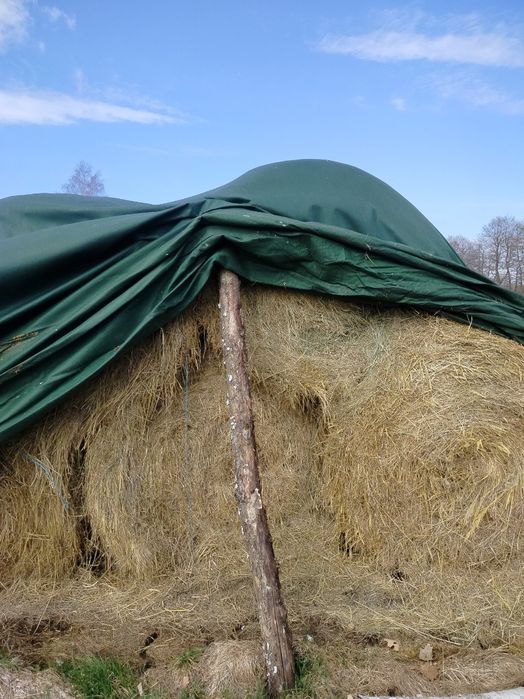 Sprzedam siano pierwszy pokos .