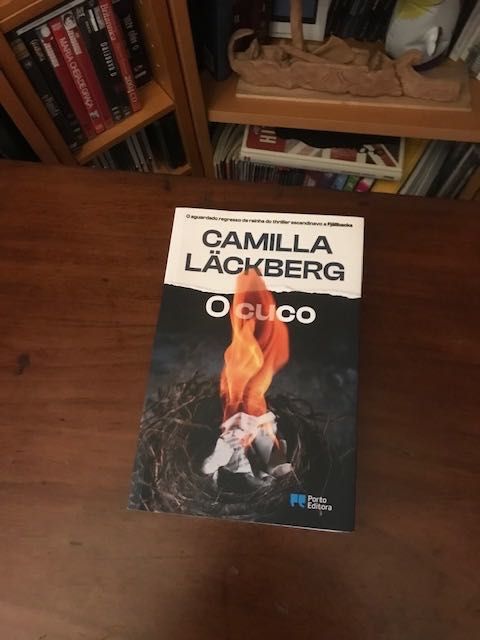 Dan Brown,  Camilla Lackberg, Livros policiais
