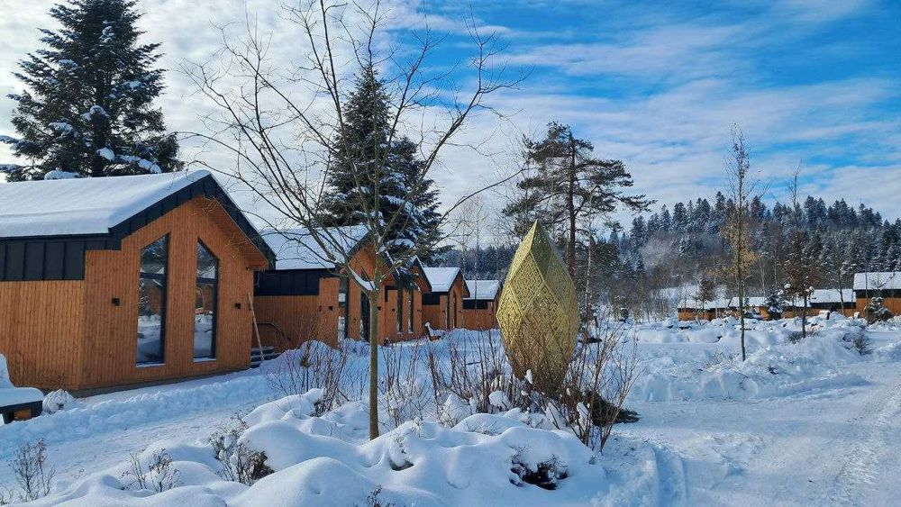 Продам котедж в Східниці