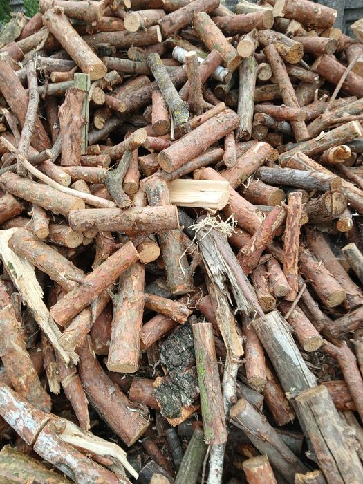 Drzewo opałowe rąbane lub w pieńkach