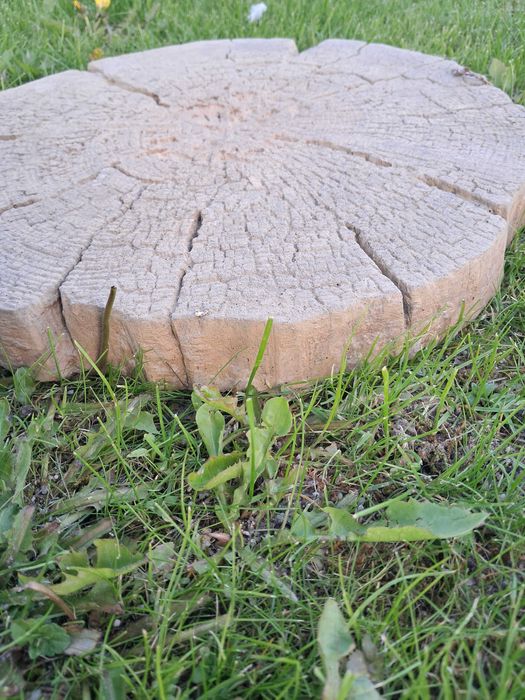 płyta ogrodowa 40cm