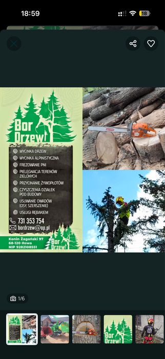 Wycinka drzew /Rębak /Frezwoanie Pni