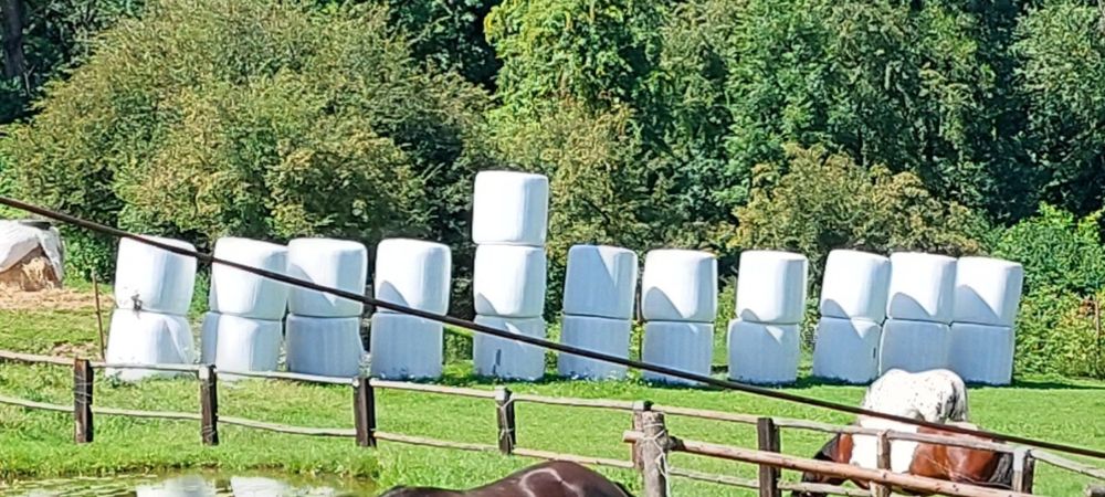 Siano suche w folii - Bale 120