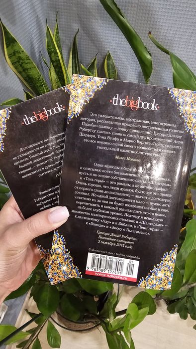 Тень горы (2 тома) Грегори Дєвид Робертс