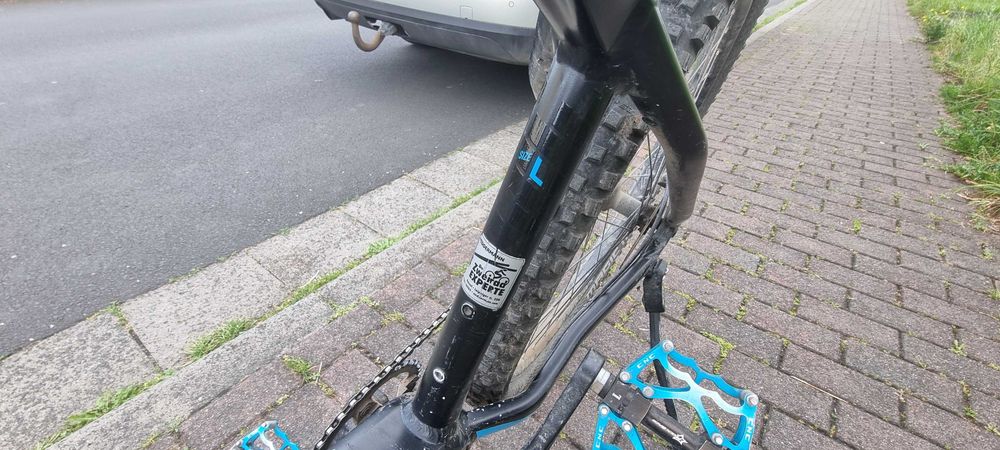 Rower elektryczny Focus Bold 2