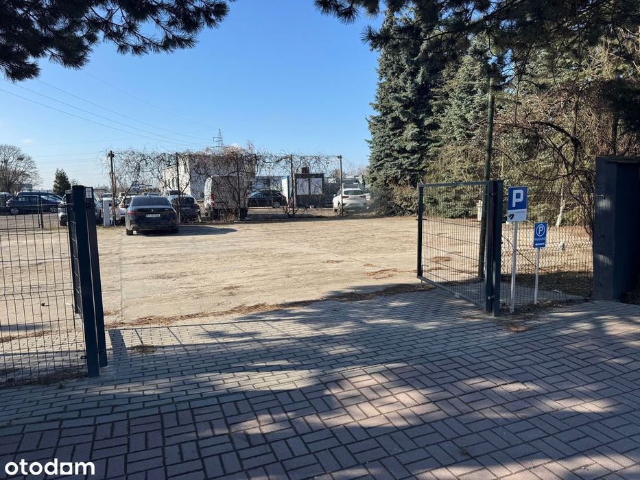 Plac utwardzony-asfalt, ogrodzony do wynajęcia!